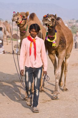 Pushkar rajasthan Fuar (pushkar deve mela), Hindistan
