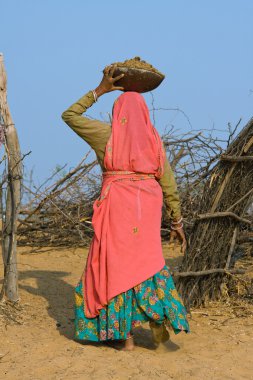 Pushkar rajasthan Fuar (pushkar deve mela), Hindistan