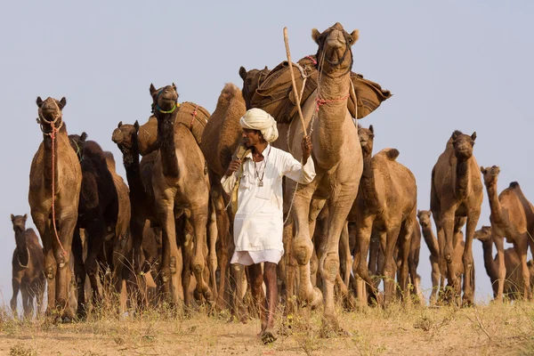 Feria de Pushkar (Pushkar Camel Mela) Rajastán, India — Foto de Stock