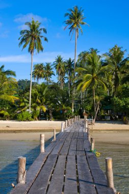 Güzel tropikal plaj