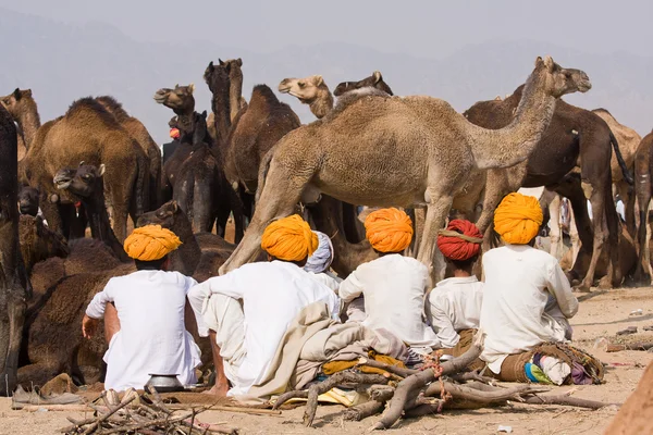 Pushkar velbloudí mela. Rajasthan, Indie. — Stock fotografie