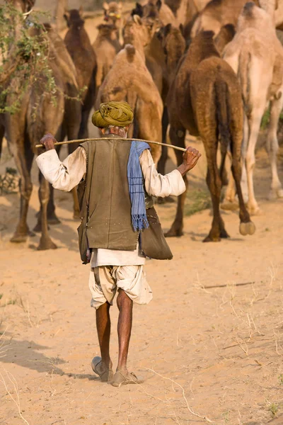 Pushkar Camel Mela. Rajasthan, Índia . — Fotografia de Stock
