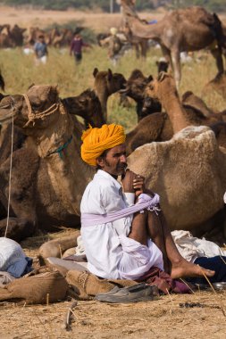 Pushkar rajasthan Fuar (pushkar deve mela), Hindistan