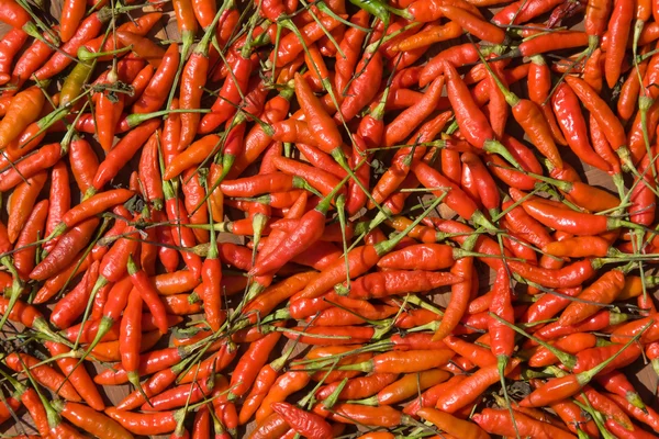 Fondo de primeros planos pimientos rojos picantes —  Fotos de Stock