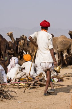 Pushkar, Hindistan - 20 Kasım: pushkar rajasthan, Hindistan pushkar deve mela (pushkar deve adil) 20 Kasım 2012 tarihinde. Bu adil değil dünyanın en büyük deve ticaret fuarı.