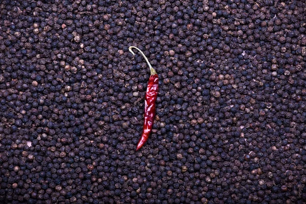 Svart och röd chilipeppar bakgrund — Stockfoto