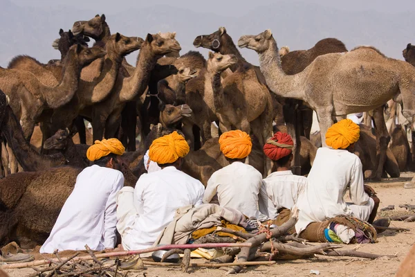 Pushkar fair (pushkar camel mela) rajasthan, Indien — Stockfoto