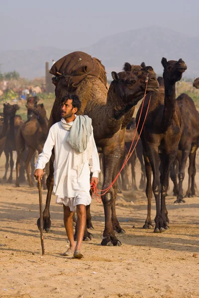 Pushkar Targi (mela pushkar wielbłąd) Radżastan, Indie — Zdjęcie stockowe