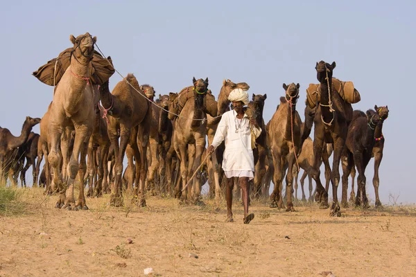 Pushkar Fair ( Pushkar Camel Mela ) Rajasthan, India — Φωτογραφία Αρχείου