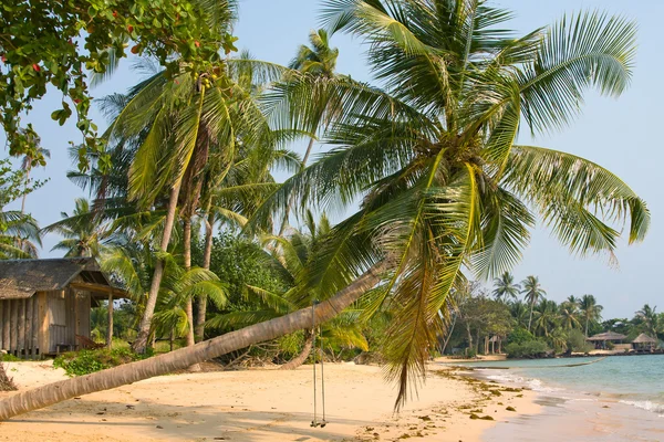 Praia tropical com palmeiras exóticas — Fotografia de Stock