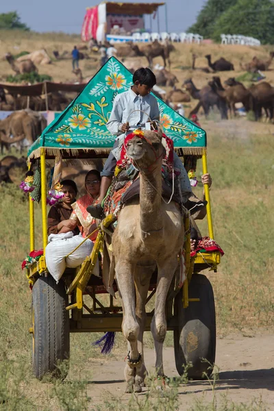 PUSHKAR, INDIA - 18 DE NOVIEMBRE: Camello decorado y su dueño van a participar en la mela anual del camello pushkar (feria) el 18 de noviembre de 2012 en Pushkar, Rajastán, India — Foto de Stock