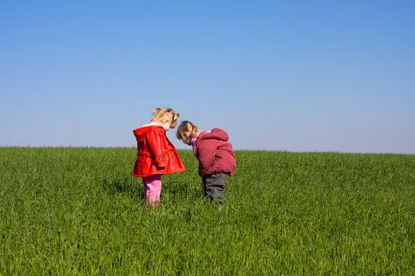 Twee meisje kind in de natuur Stockfoto