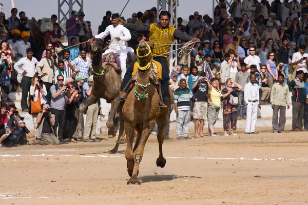 Pushkar fair (pushkar camel mela) rajasthan, Indien — Stockfoto