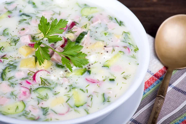 Sopa de verduras (okroshka  ) —  Fotos de Stock