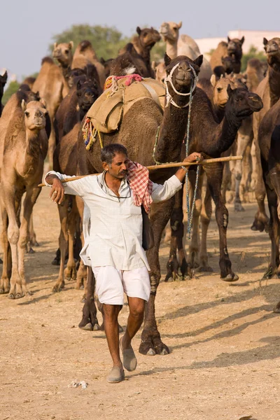 Feira de Pushkar (Pushkar Camel Mela) Rajasthan, Índia — Fotografia de Stock