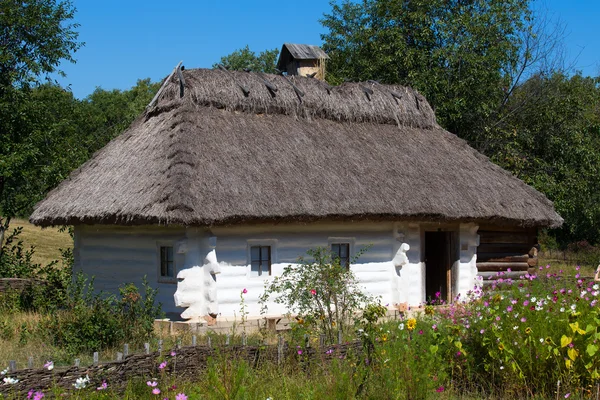 Wooden houses taken in park in summer in Pirogovo museum, Kiev, Ukraine — Stock Photo, Image