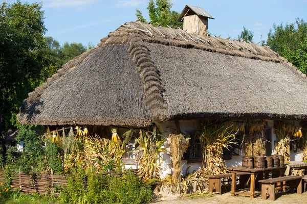 Houten huizen genomen in park in de zomer in pirogovo museum, kiev, Oekraïne — Stockfoto
