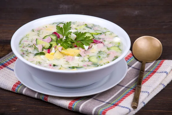 Vegetable soup ( okroshka ) — Stock Image Vegetable soup ( okroshka ) Stock Photo