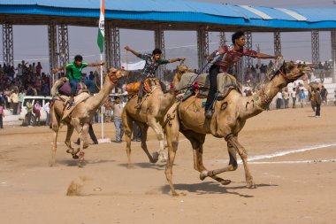 Pushkar rajasthan Fuar (pushkar deve mela), Hindistan
