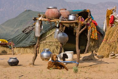 pushkar, Hindistan yakınlarında çölde yalnız ev