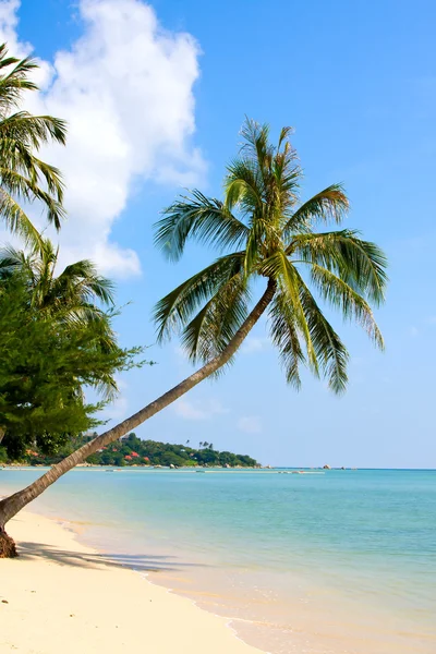 Vacker strand och tropiska havet, thailand. — Stockfoto