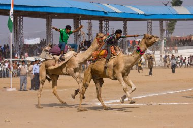 Pushkar rajasthan Fuar (pushkar deve mela), Hindistan