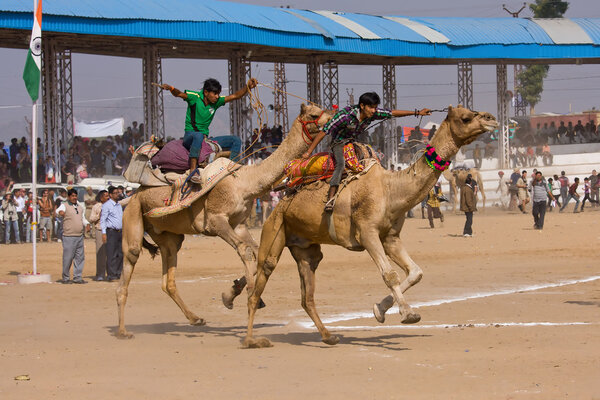 Ярмарка Пушкар (Pushkar Camel Mela) Раджастхан, Индия
