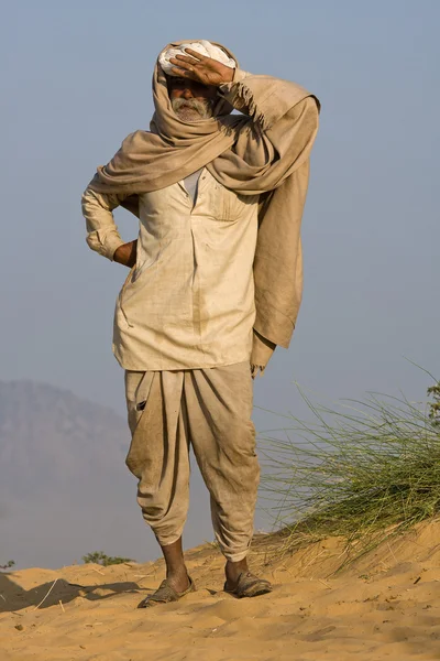 Pushkar camel mela (Kamelmesse) ) — Stockfoto