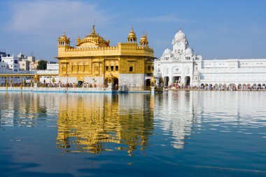 Amritsar 'daki Altın Tapınak, Punjab, Hindistan.