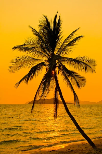 Tropische zonsondergang — Stockfoto