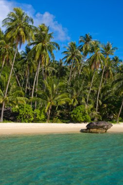 güzel bir plaj ve tropikal deniz, Tayland.