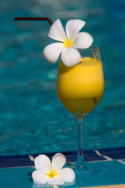 Tropical cocktail at the swimming pool — Stock Photo, Image