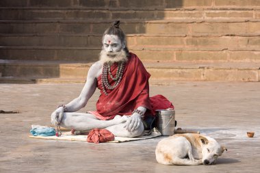 Hint sadhu (Kutsal adam). Varanasi, uttar pradesh, Hindistan.