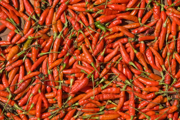 Fundo de closeup pimentas vermelhas — Fotografia de Stock