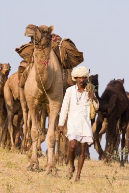 Pushkar rajasthan Fuar (pushkar deve mela), Hindistan