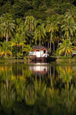 Adası koh chang, Tayland.