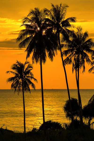 Hermosa puesta de sol, Tailandia . — Foto de Stock