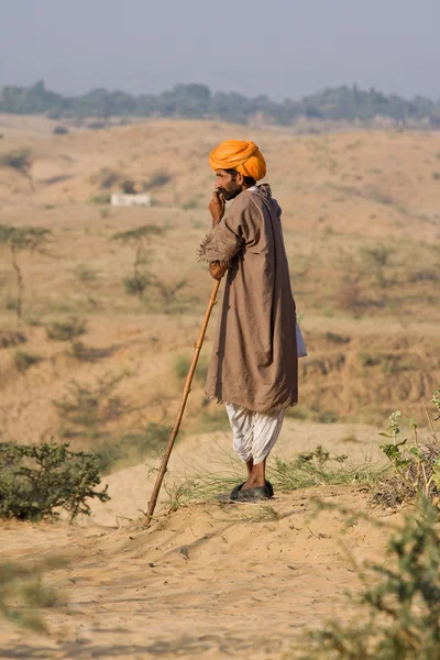 Pushkar Camel Mela ( Pushkar Camel Fuarı ) — Stok fotoğraf