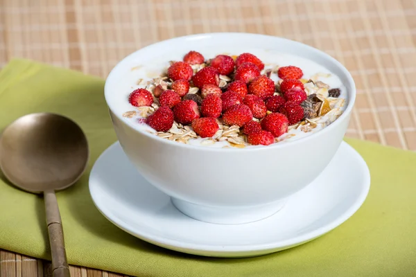 Muesli. — Fotografia de Stock