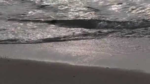 Sahildeki deniz dalgaları — Stok video