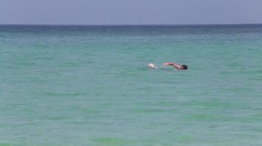 büyük dane adamla yüzüyor