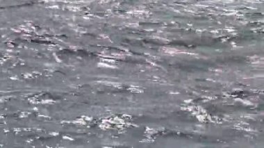 dalga deniz
