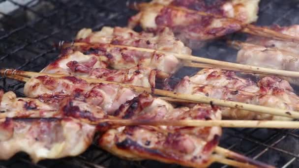 Grilled chicken meat — Stock Video