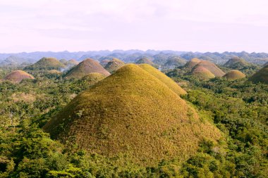 çikolata hills, bohol Adası, Filipinler