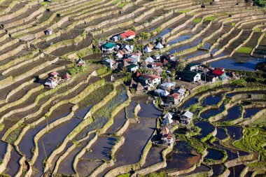 Rice Terraces, Philippine.