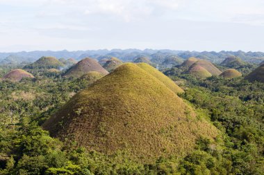çikolata hills, bohol Adası, Filipinler