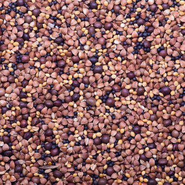 arka plan karışık tohum. kuşlar için evde beslenen hayvan yiyecek.
