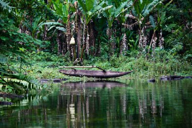 Lake balinsasayao içinde dumaguete negros Adası, Filipinler