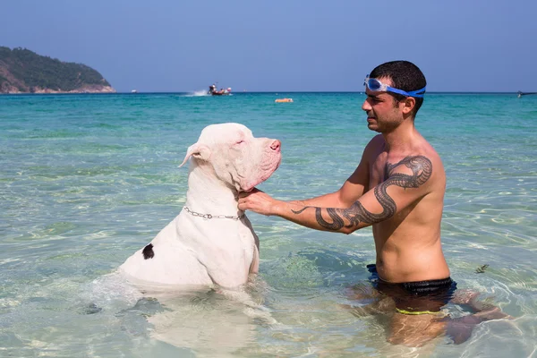 Man with the Great Dane in the sea — Stock Photo, Image