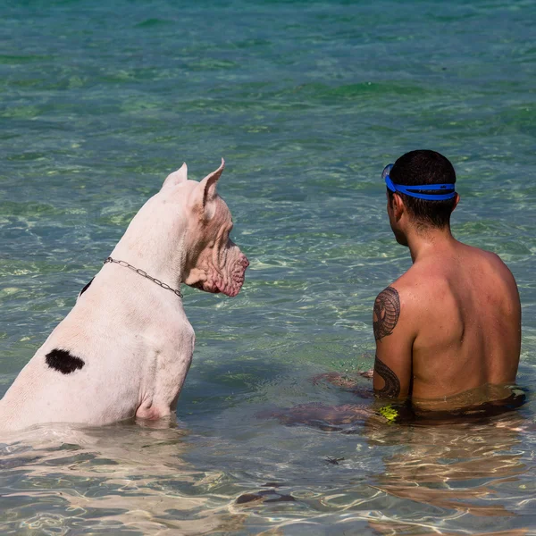 Man met de grote Deen in de zee — Stockfoto